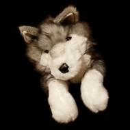 Wolfie Timberline - GM